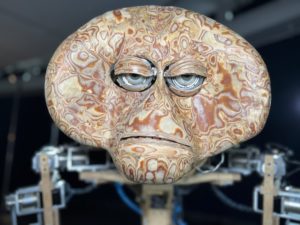 ספארי במוזיאון (צילום: נדב חומסקי)