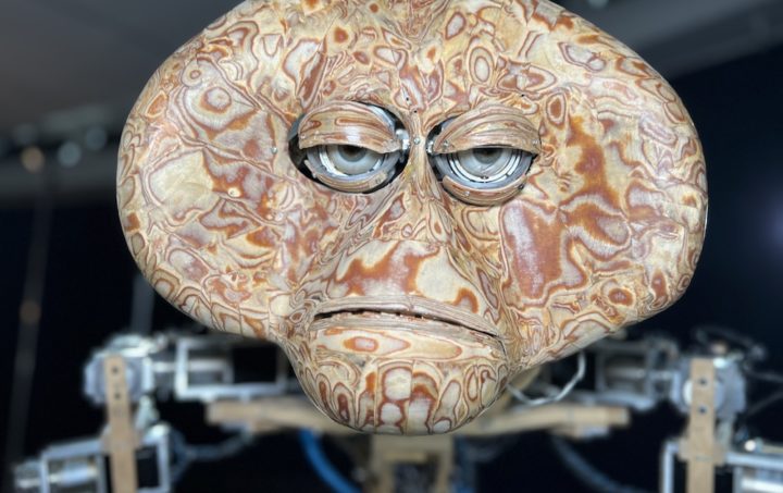 ספארי במוזיאון (צילום: נדב חומסקי)