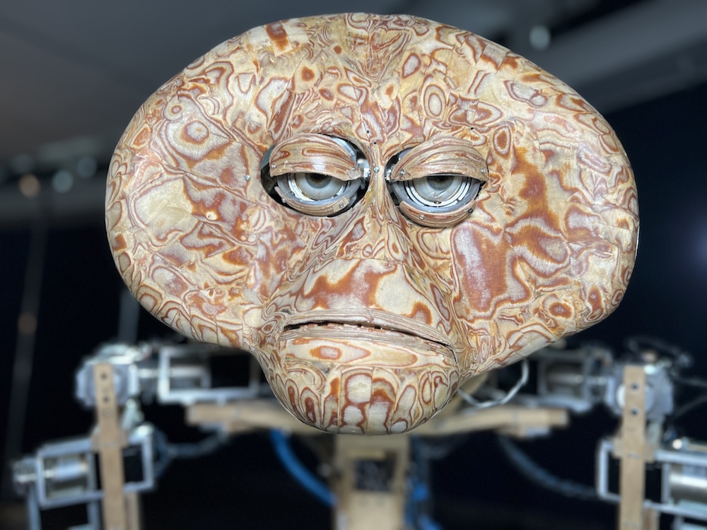 ספארי במוזיאון (צילום: נדב חומסקי)