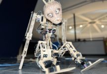 ספארי במוזיאון (צילום: נדב חומסקי)