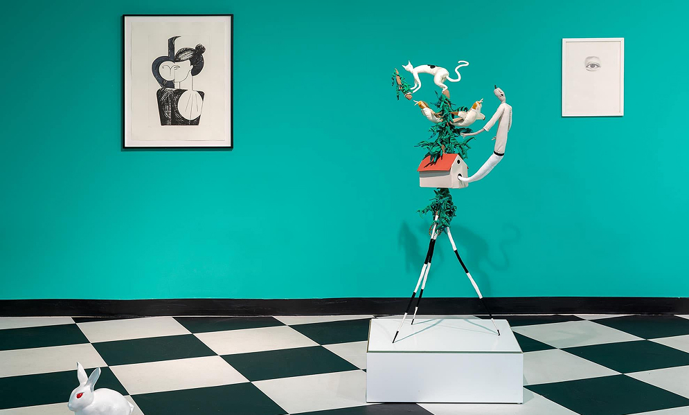 Information for Schools