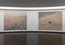 צילום הצבה מתוך התערוכה עידן הדלי, ליהי תורג'מן, 2025. צלם: טל ניסים