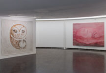 צילום הצבה מתוך התערוכה עידן הדלי, ליהי תורג'מן, 2025. צלם: טל ניסים