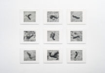 פנורמה, אסף עברון, 2026 צלם: דניאל חנוך